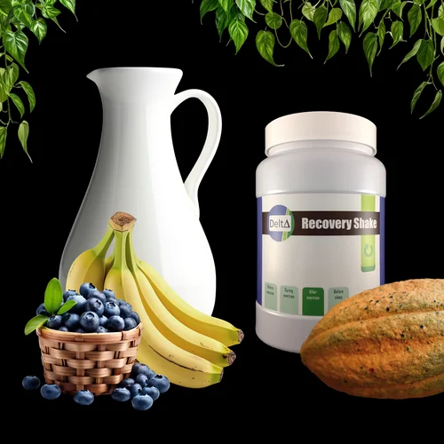 Batido Recuperador