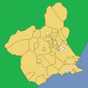 Mapa de la Región de Murcia con los profesionales que recomiendan el Batido Recuperador Delta